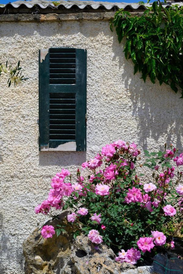 Harmony Corfu Apartments & Studios Εξωτερικό φωτογραφία